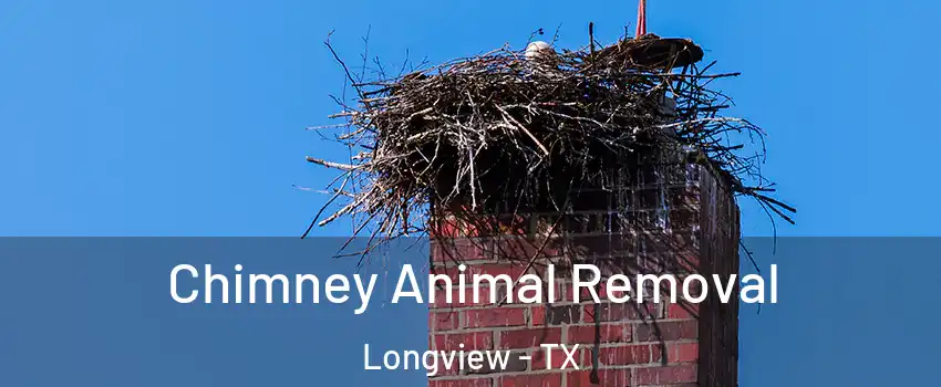  Chimney Animal Removal Longview - TX