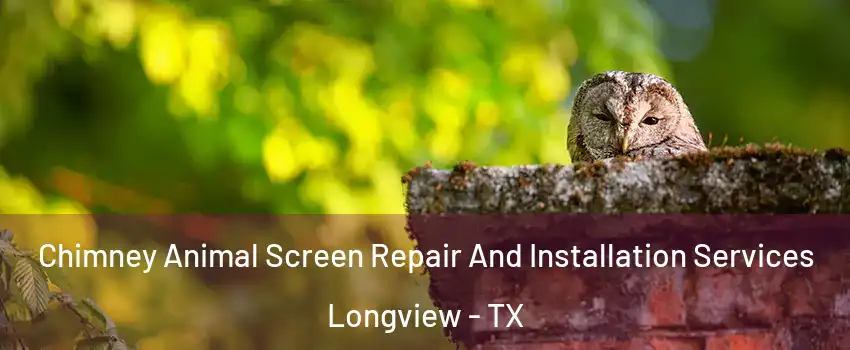  Chimney Animal Screen Repair And Installation Services Longview - TX