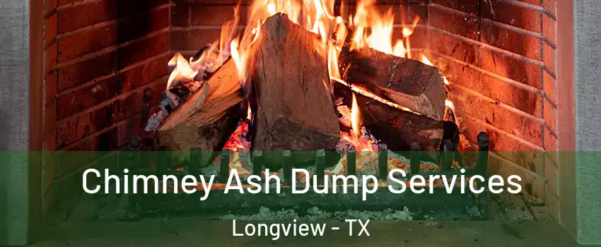  Chimney Ash Dump Services Longview - TX