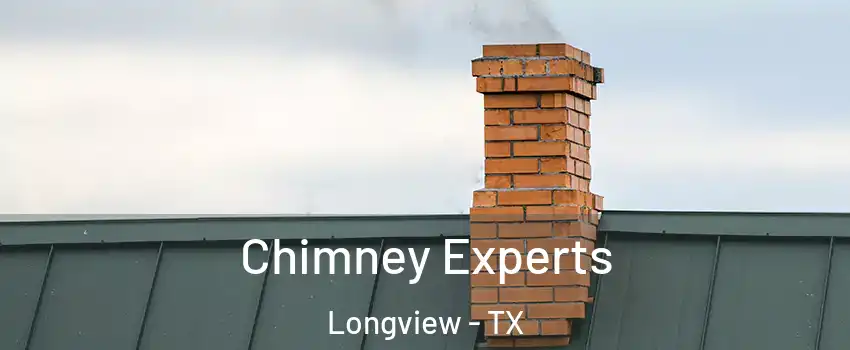  Chimney Experts Longview - TX
