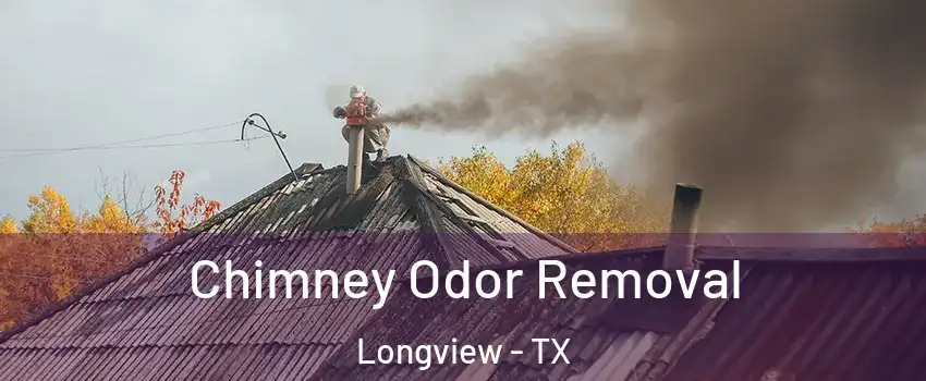  Chimney Odor Removal Longview - TX