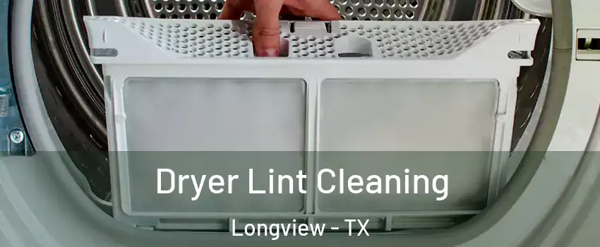  Dryer Lint Cleaning Longview - TX
