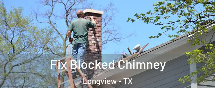  Fix Blocked Chimney Longview - TX