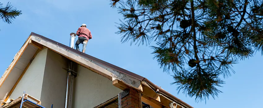 Birds Removal Contractors from Chimney in Longview, TX
