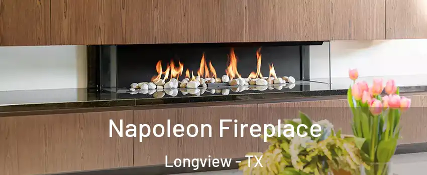  Napoleon Fireplace Longview - TX